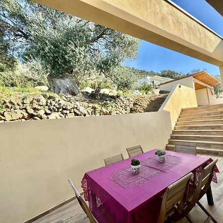 Super Villa Moderne Corbara Vue Mer Kültér fotó